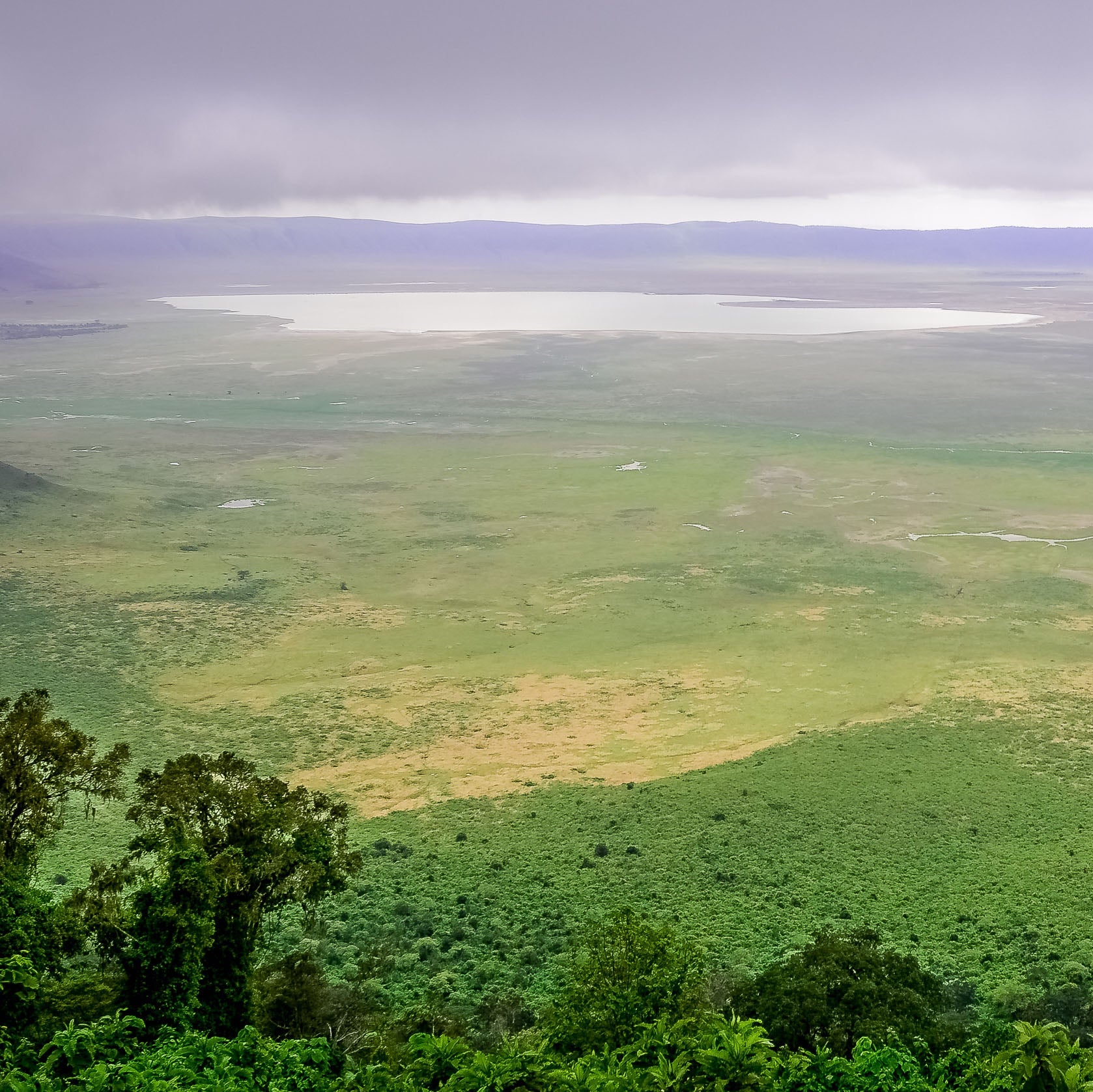 Tanzania Karatu Vohora