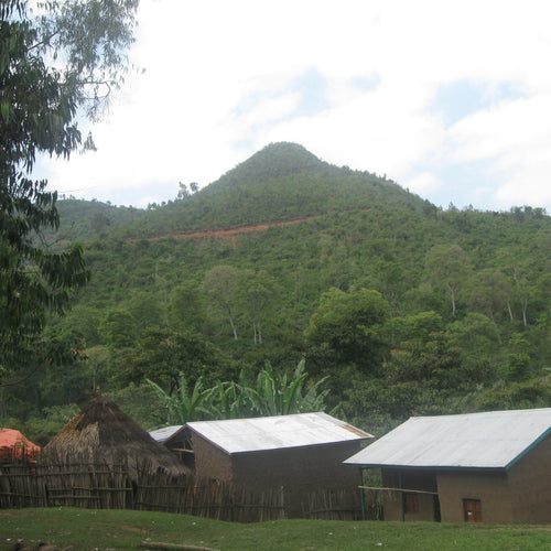 Ethiopia Yirgacheffe Banko Gotiti