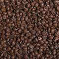 Brazil Cerrado