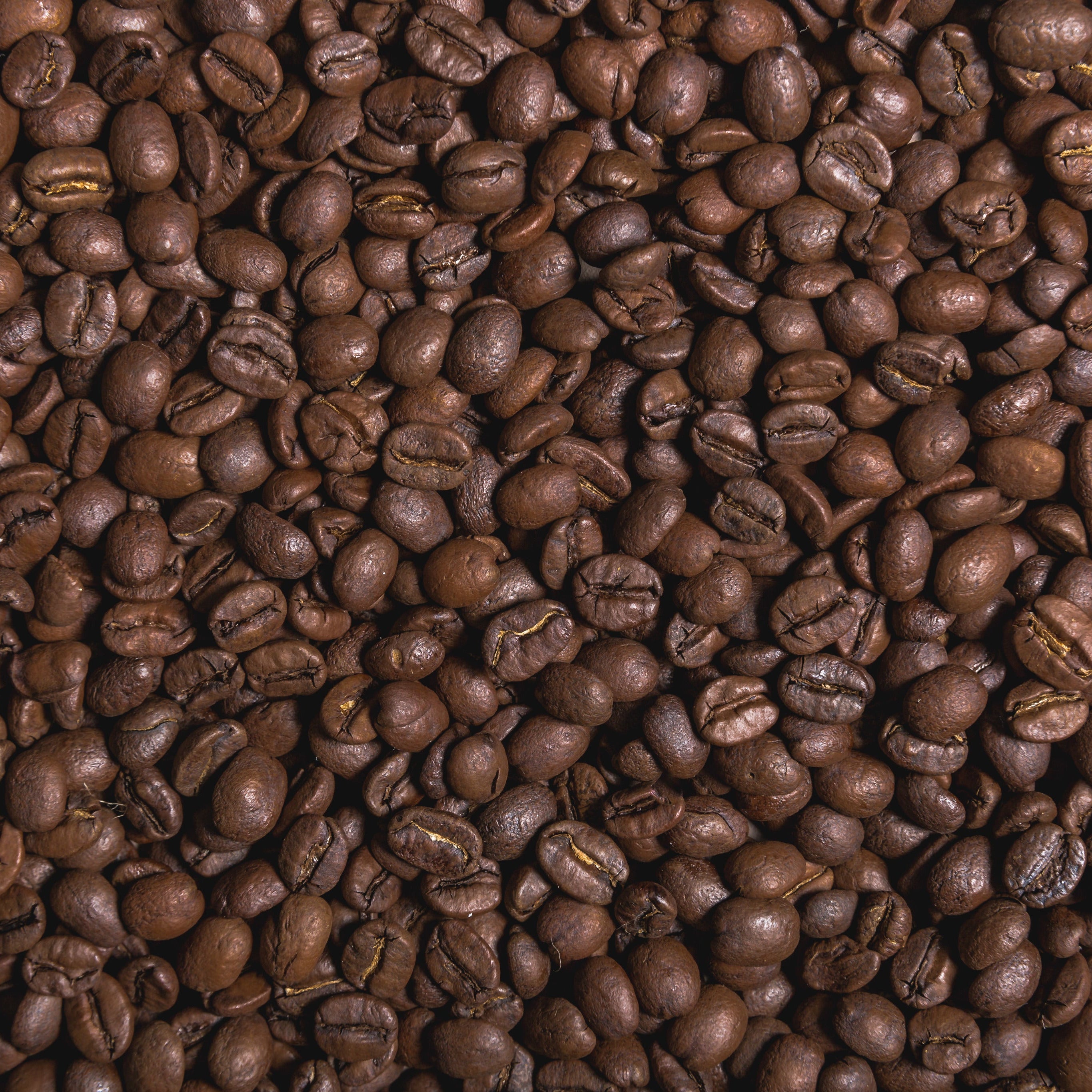 Brazil Cerrado