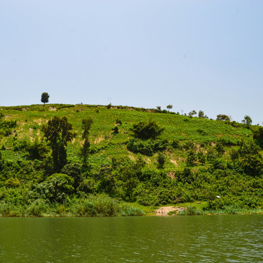 Rwanda Murundo