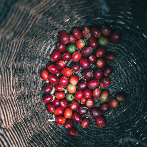 Colombia Huila Decaf
