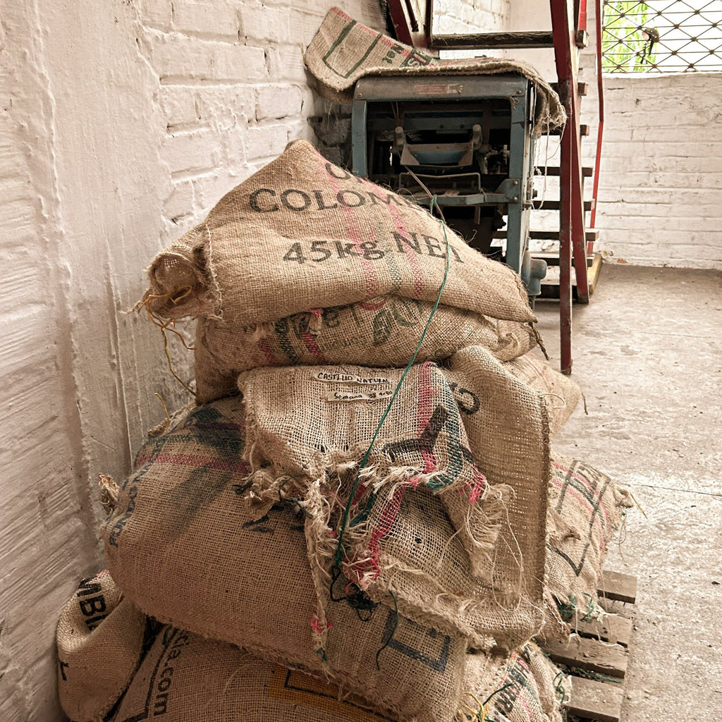 Colombia Tolima Finca La Leona