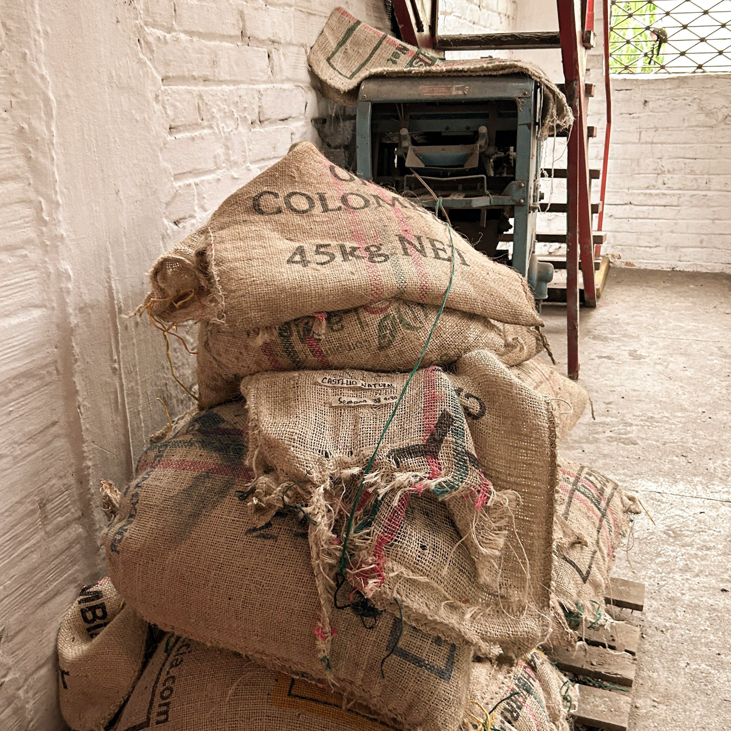 Colombia Tolima Finca La Leona