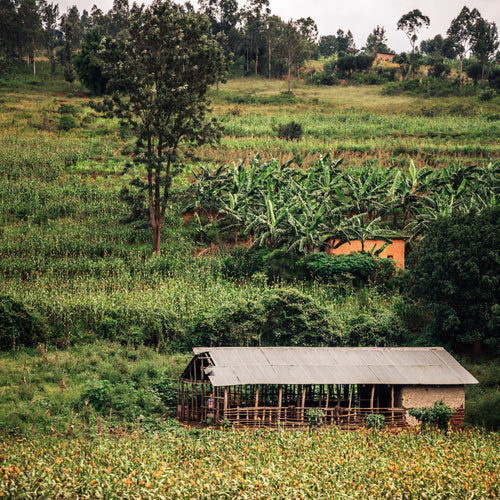 Ethiopia Uraga Raro Boda