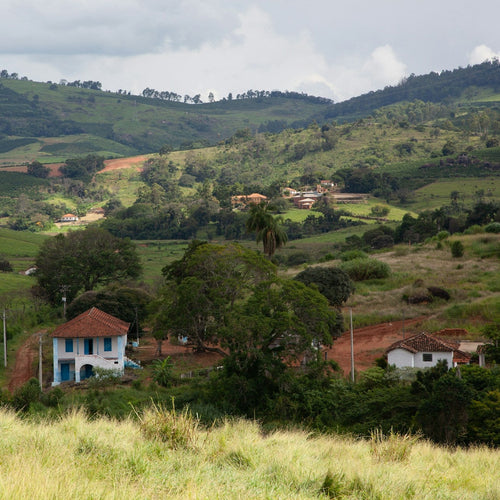 Brazil Cerrado
